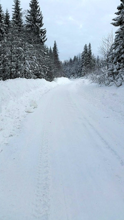 Tryck för större bild!